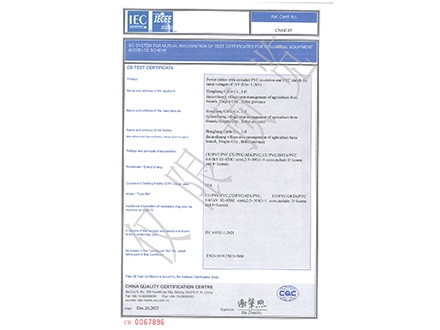 CB认证证书0.6/1kV VV22(CU/PVC/DSTA/PVC)